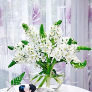 Hoa Thiên Nga | Bó 5 cành