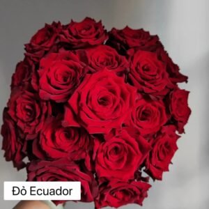 Hoa hồng Ecuador đỏ tươi thắm được bó lại tạo nên vẻ đẹp sang trọng và quyến rũ1
