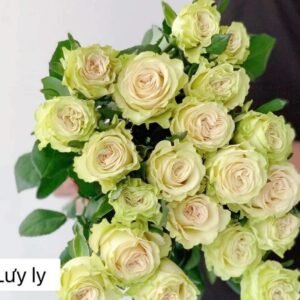 hoa hồng xanh lưu ly