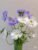 Scabiosa cánh bướm